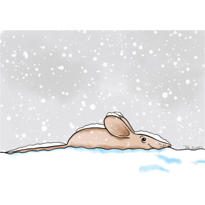 Sneeuwmuis: glimlachende muis die in de sneeuw ligt