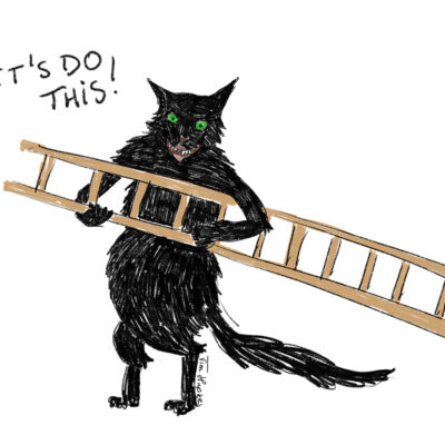 Friday the 13th: black cat carrying a ladder. Fine art print, limited edition of 5.